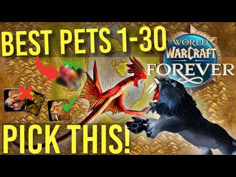 Превью выпуска Gladius Gaming: TAME THESE NOW! Best Hunter Pets Level 1-30 World of Warcraft