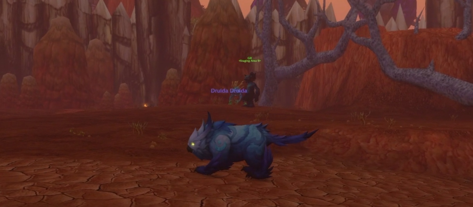 Медведь-друид в WoW: Forever, кадр из иллюстрации Wowhead к заметке о расходниках в облике.