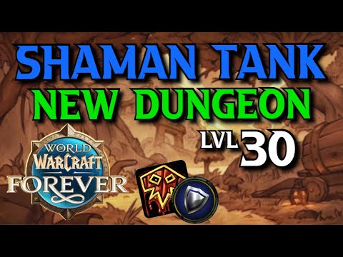 Оригинальное превью Dungeon Coach: Shaman Tank, New Dungeon, отметка LVL 30 и значок щита.