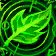 Gift of Nature, 5/5